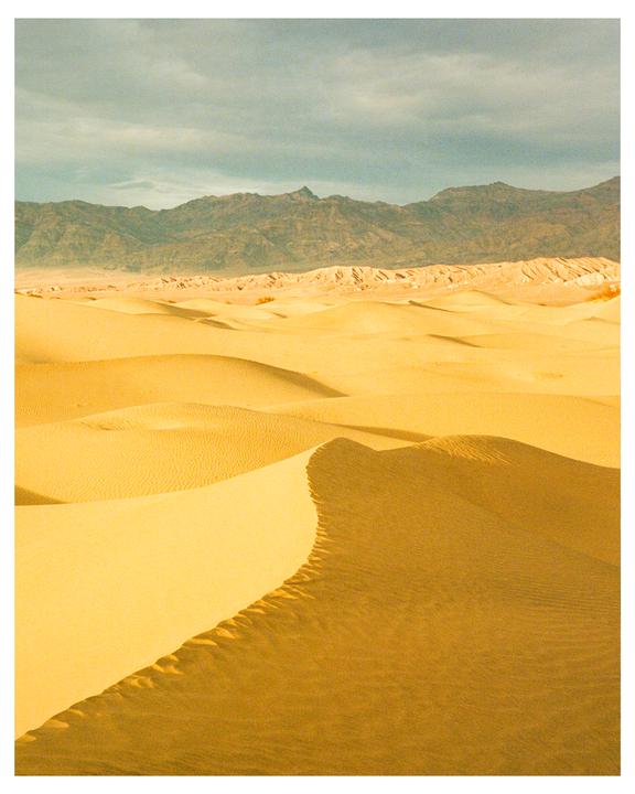 dunes on kodak gold | minolta CLE + m-rokkor 40mm f2