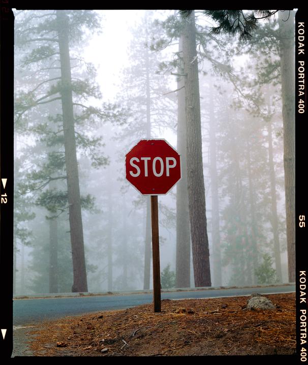 Stop sign | RZ67 | 110 2.8 | Portra 400