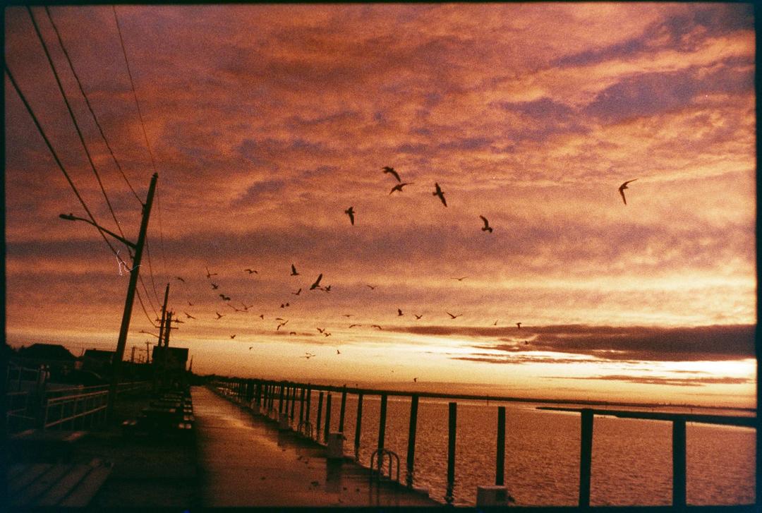 Mix of my home, and a trip Japan earlier this summer [Nikon F3, Mir 24h f2.0, Harmon Phoenix], shot on nikon f3 with harmon