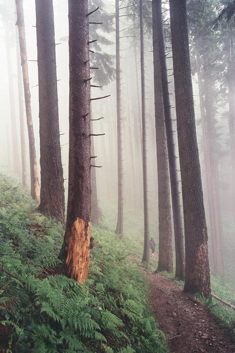 almost cancelled the hike due to bad weather.. [minolta cle, 28mm,portra 400]