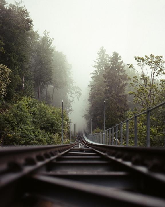 All The Way Up [RZ67, 110 f2.8, Portra 400]