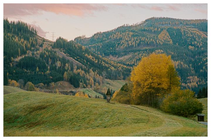 Is Sharpness Overrated? [Nikon F100, Portra 400]