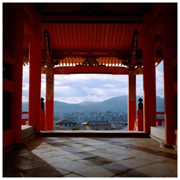 Square | Yashica Mat124g, Portra 400