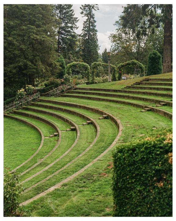 Portland Rose Garden | Pentax k1000 | 50m | Kodak Gold 200