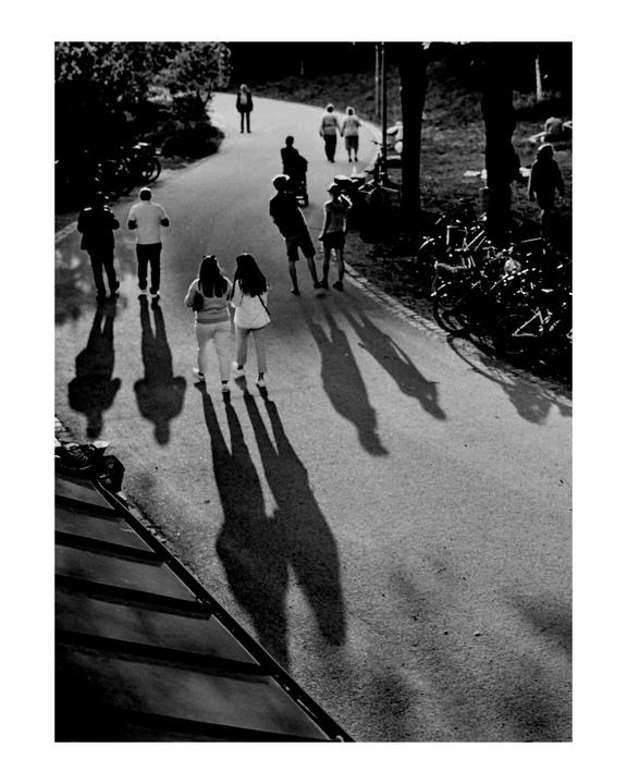 Fuji GW690 | Ilford HP5 | Crop or full?