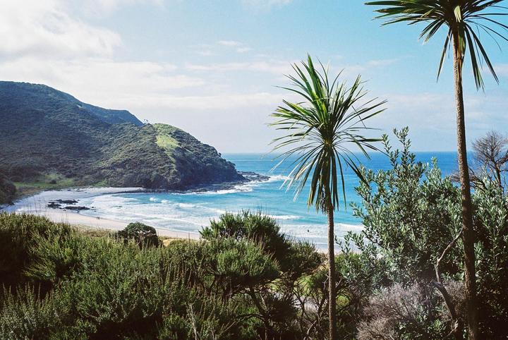 always disliked the contrast and saturation of Ultramax - but recently fell in love w/ some photos I revisited from last summer in the far north of NZ [Nikonos V, Nikkor 35mm f/2.5, Ultramax 400]