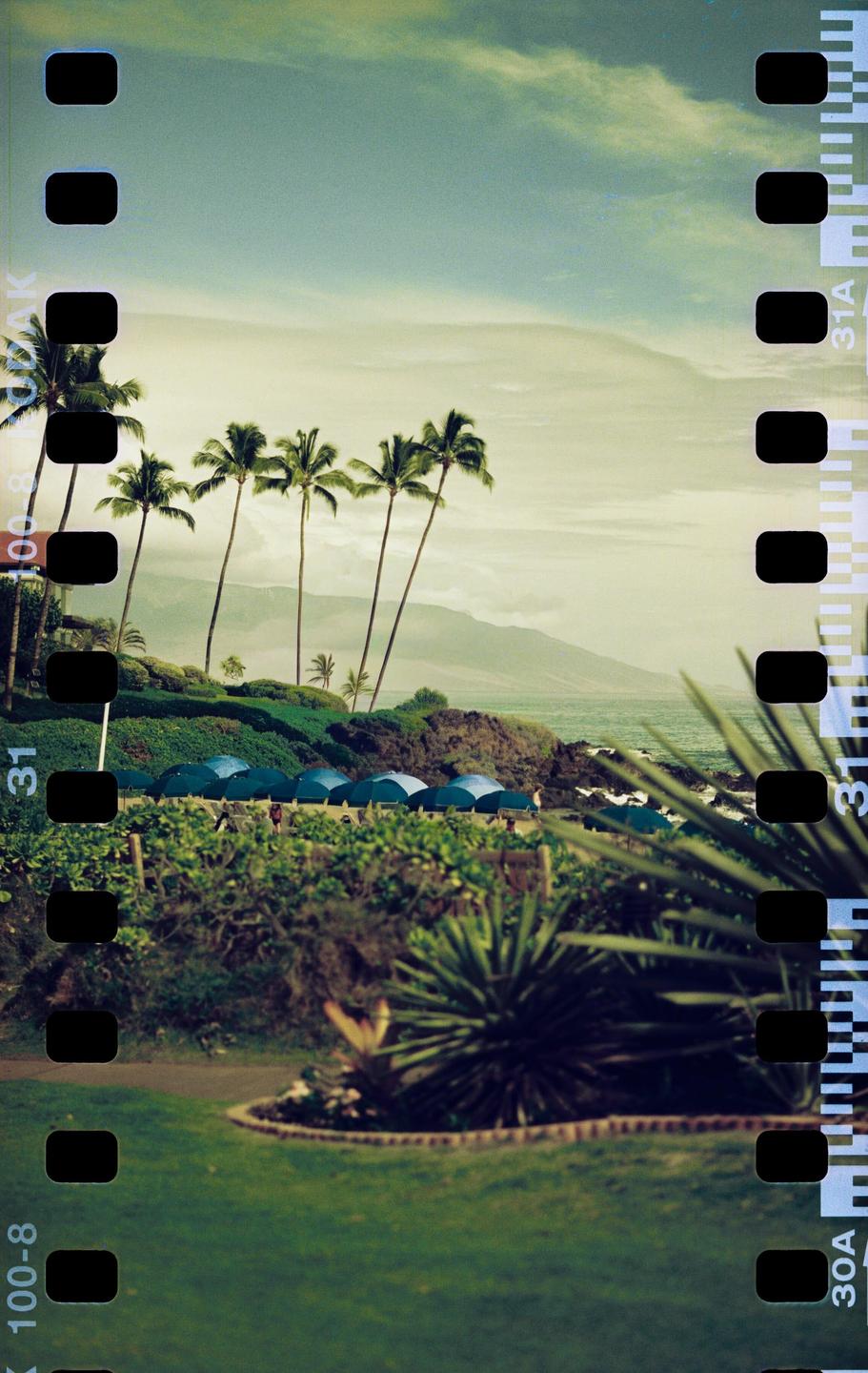 image 37280 by TomahawkEVO