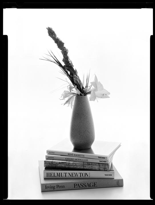 A vase with flowers sits atop a stack of books.
