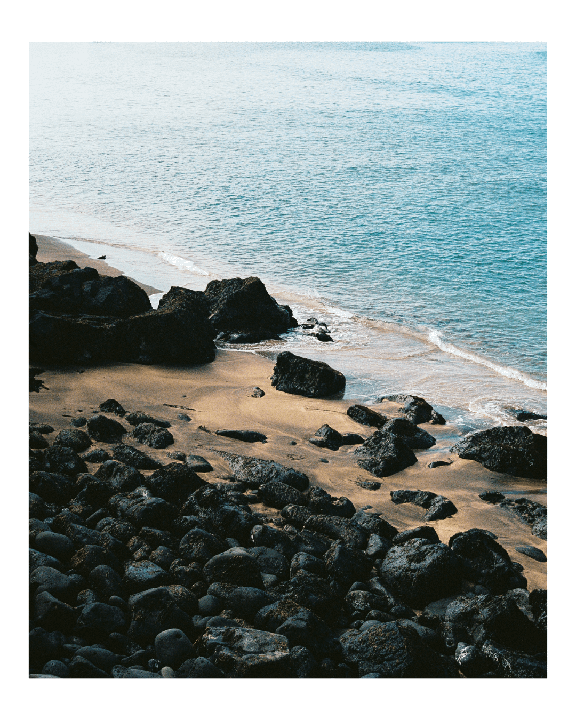Trip to Iceland, pt. 2 (Canon AE-1 Program, 50mm, Portra 160 & Ektar 100)