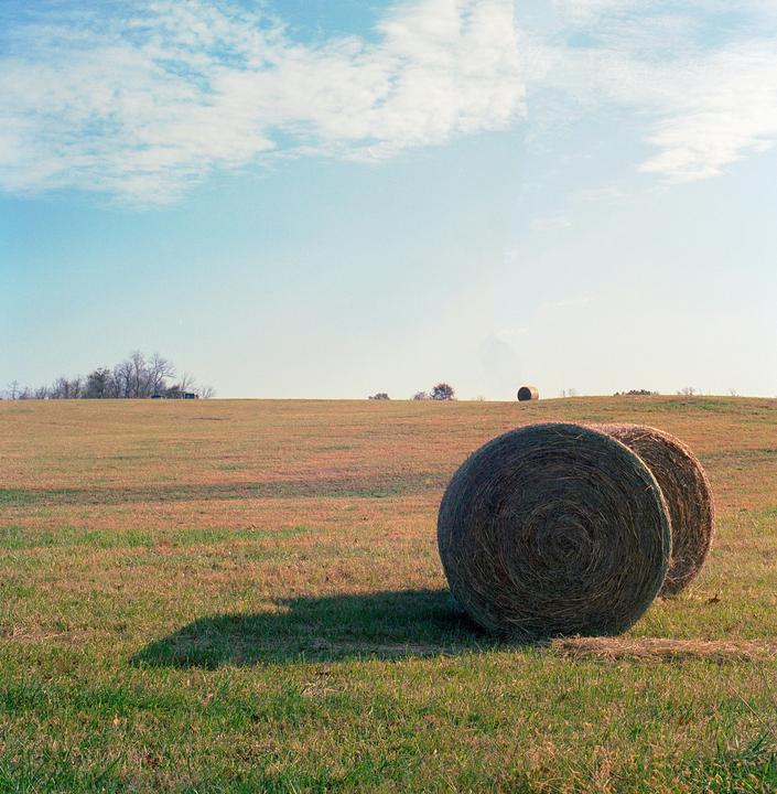 Hay, man [500c/m, 80mm, Portra 400]