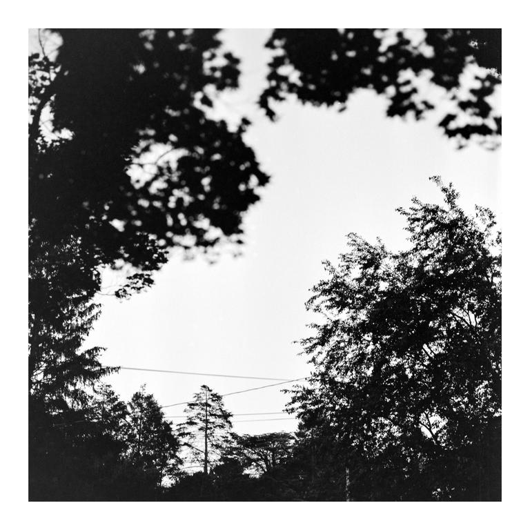 Kodak Tri-X 400, shot with kodak tri-x 400