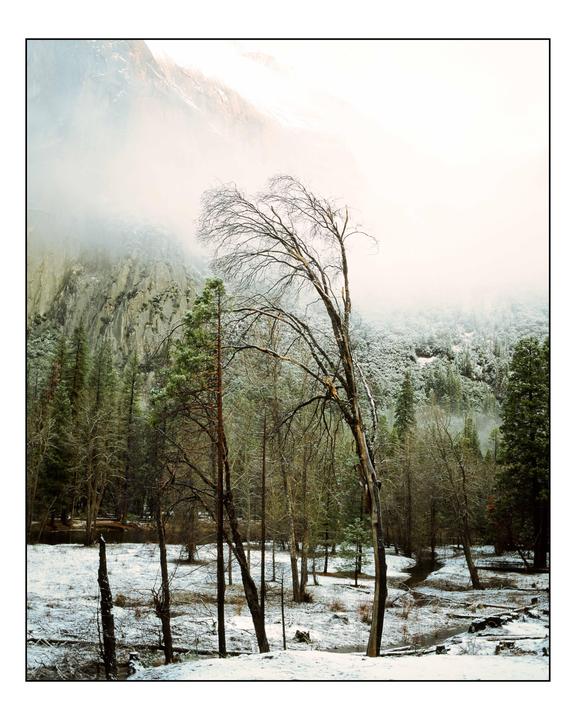 Can you guess the mountain hiding behind the fog? RB67 Pro S 90mm Velvia 50