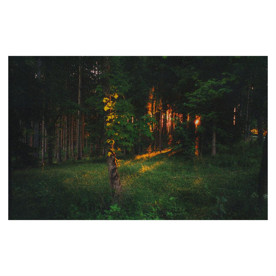 image 33893 by analoguevibez