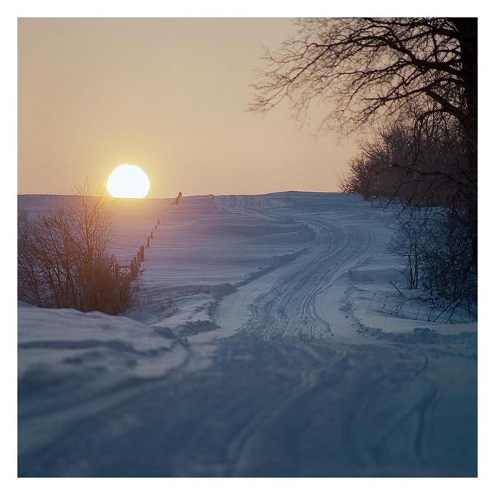 Winter Sunrise [Hasselblad 500cm / 500mm / Kodak 200]