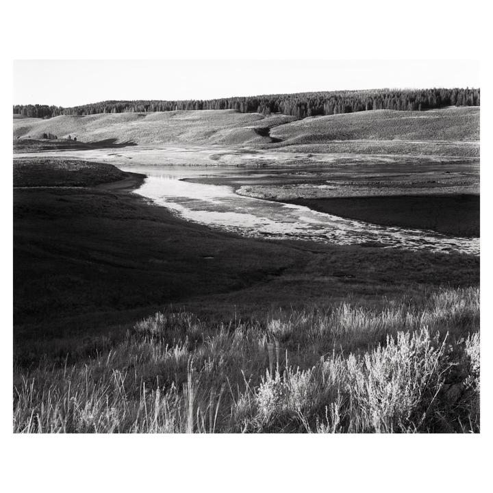 8x10 Ilford Ortho 80
