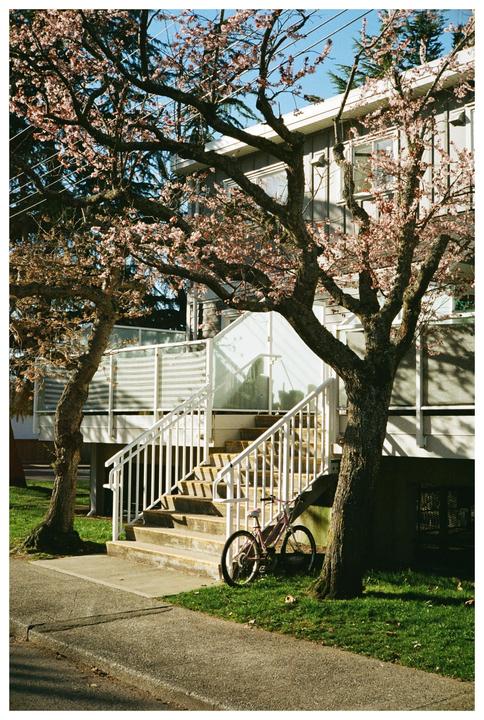 First roll from my new to me Yashica Electro 35GT [Kodak Gold 200]