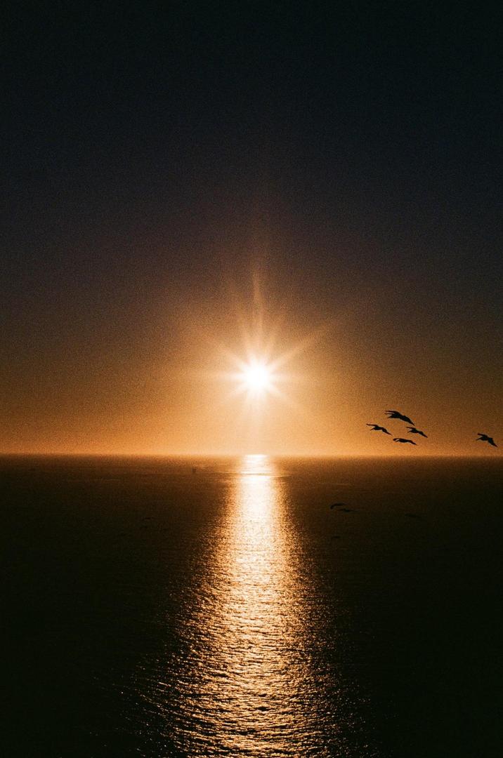 The sun sets over the ocean with a bright sunburst and several birds flying across the sky.