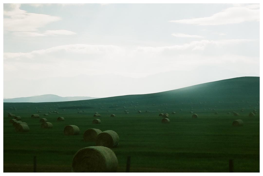 image 34992 by Old_Monkey