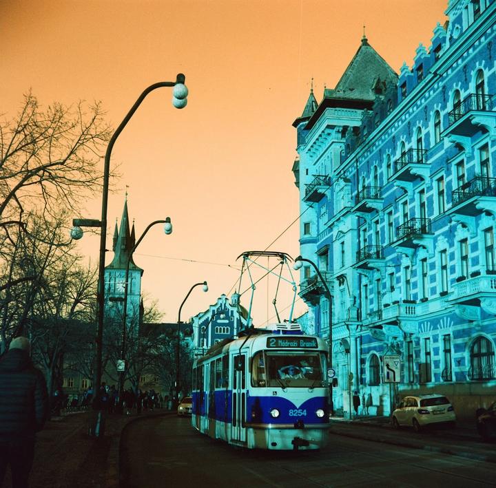 [🎞️Lomochrome Turquoise 120, 📷Weltaflex TLR 75mm]