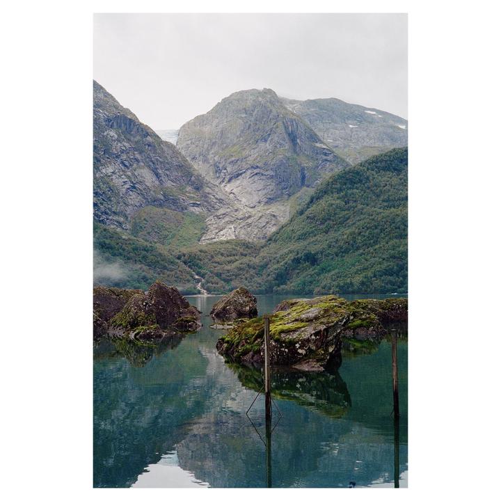 Took my camera on a hike(M5, Fuji 400, 50mm Sonnar)