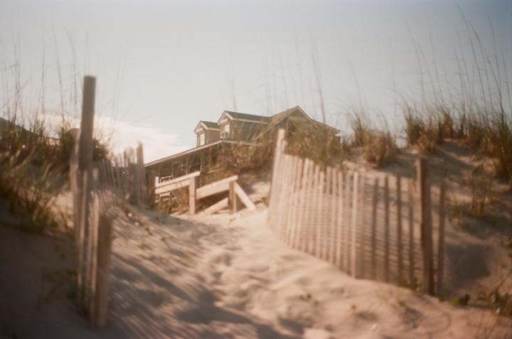 Focus kinda off but maybe still good? Cannon A1/50mm Lens/Flic Film Elektra 100