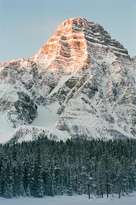 First Light [Ektar 100 - Yashica FX-3 - Zeiss 50mm f/1.7 Planar]
