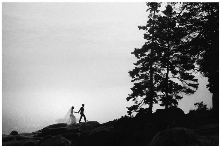 A couple walks hand-in-hand on a rocky shore with tall trees silhouetted against a bright sky.