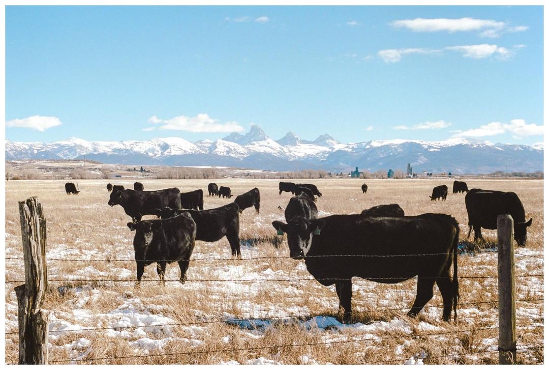 image 36120 by BusyRunninErins