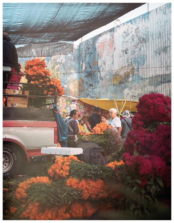 Día de muertos flower market - Portra 400 - Fuji GS645
