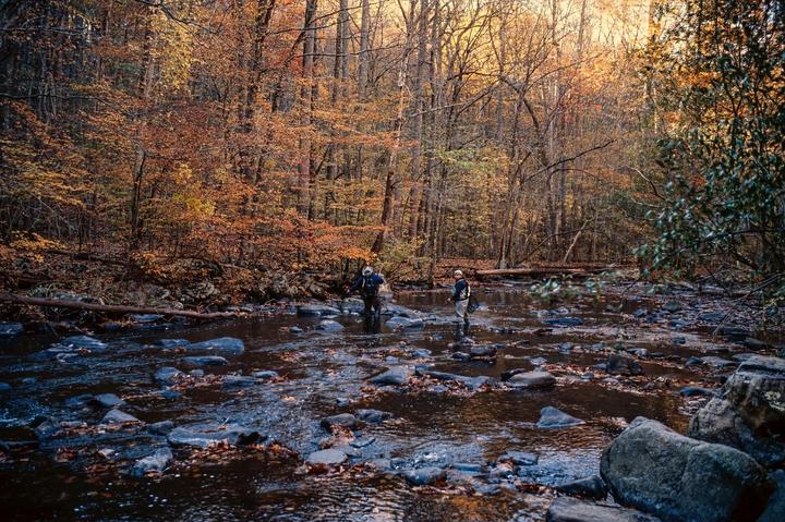 Fall in New Jersey | Leica MP | Kodak Ektachrome E100