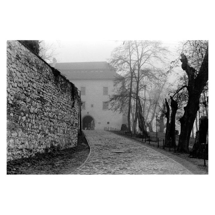 A cobblestone path leads to a building with an arched entrance, flanked by a stone wall and bare trees in a hazy, monochrome landscape.