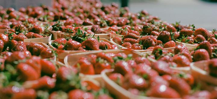 Strawberries [Mamiya 645, Sekor C 80mm f/1.9, Portra 400]
