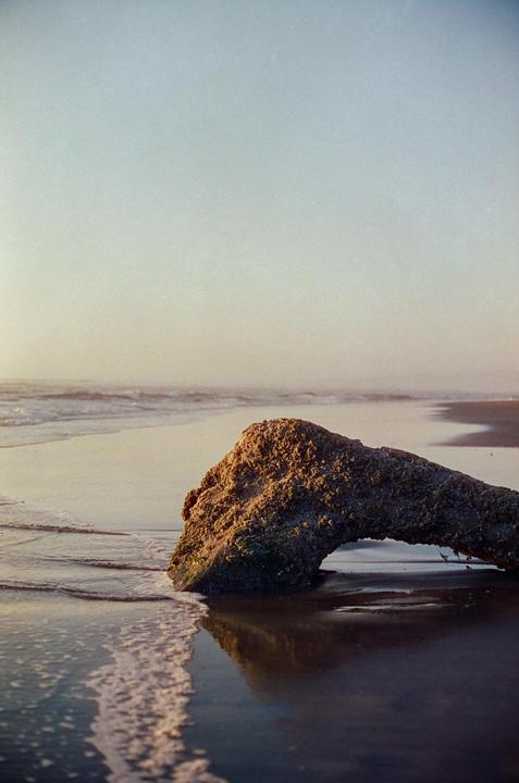 A large piece of driftwood sits on a sandy beach with waves in the background.