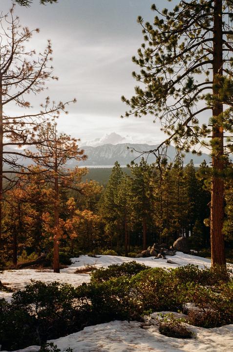 A forest with patches of snow on the ground and a lake and mountains in the distance is visible under a cloudy sky.