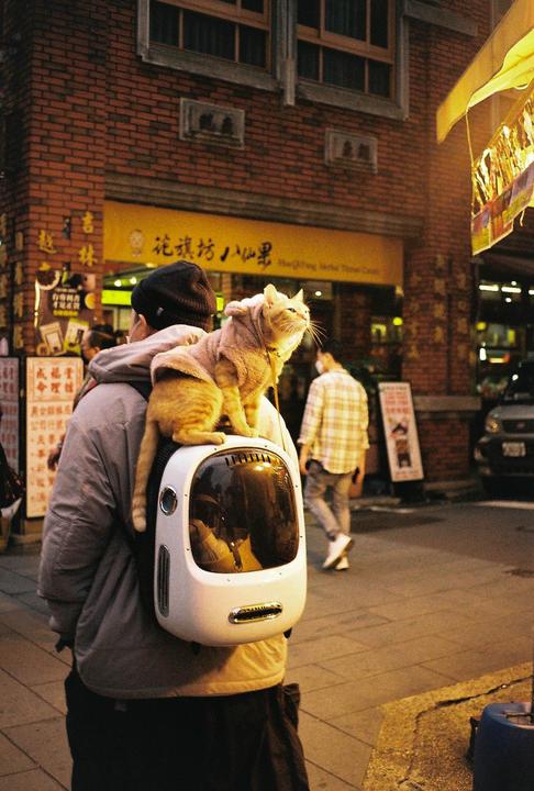 Taken two Lunar New Years ago. Happy Chinese New Year! (Contax T2, Gold 200)