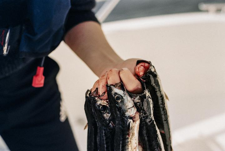 Fishy [Frontier 125D | 1.4/50 | Canon AT-1]