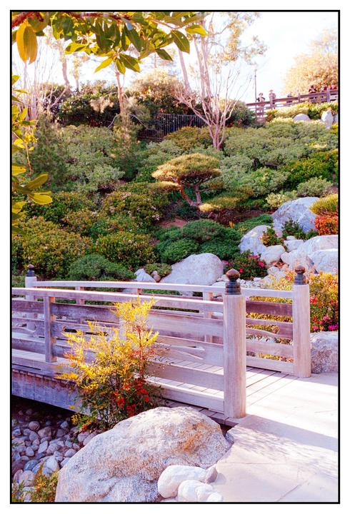 Japanese garden (Nikon F5, Portra 400, multi lens)