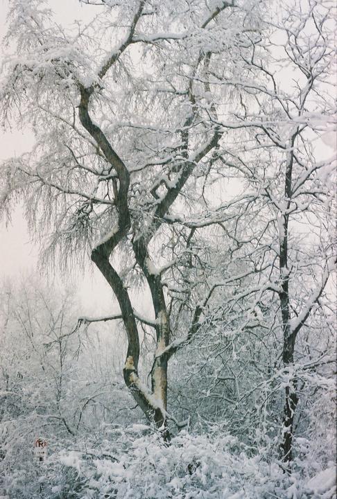 a crisp walk but worth it - olympus om-2n - 50mm f1.4 - expired kodak 400