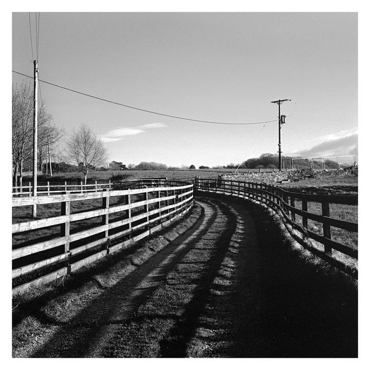A winding dirt path with fence lines on either side leads through a field under a bright sky.