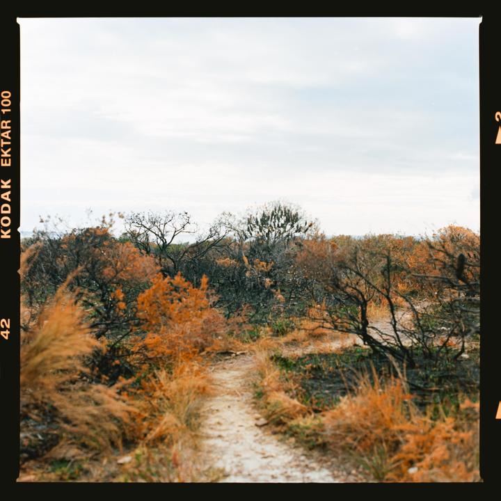 Coast trail [Hasselblad 500cm, 80mm/2 cf, Ektar100]