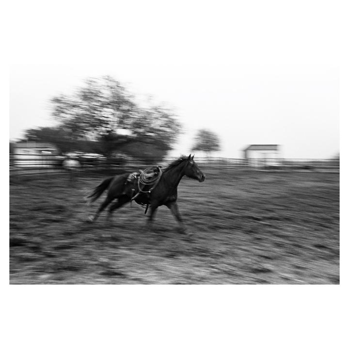 Ten from Texas | Leica MP + 35f2 | HP5 and TriX