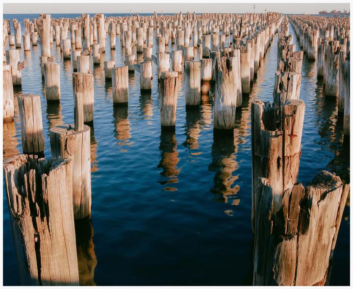 Pillars - Mamiya RB67 / Porta 400
