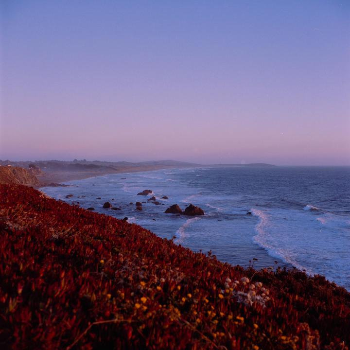 Bodega Bay at Sunset [Yashica Mat 124G, Kodak Gold 200]