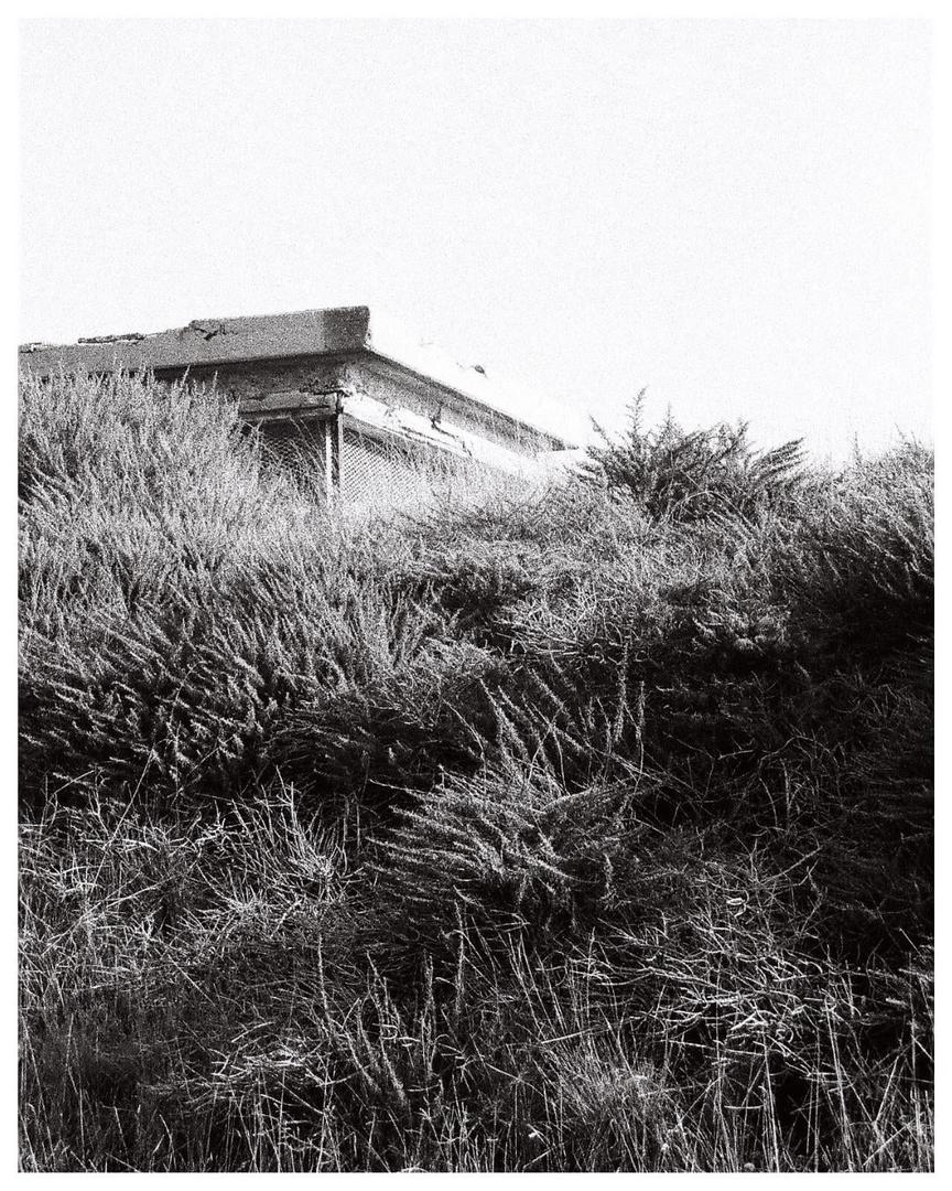 image 39817 by windward-film