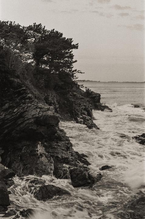 Waves crash against a rocky coastline with trees on the cliff.
