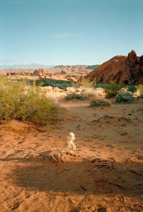 Valley of Fire (Olympus XA, Kodak Ultramax 400)