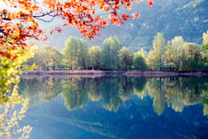 Morning at the lake.