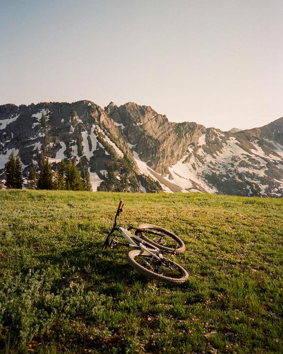 Out for a rip(Olympus XA/Gold 200)
