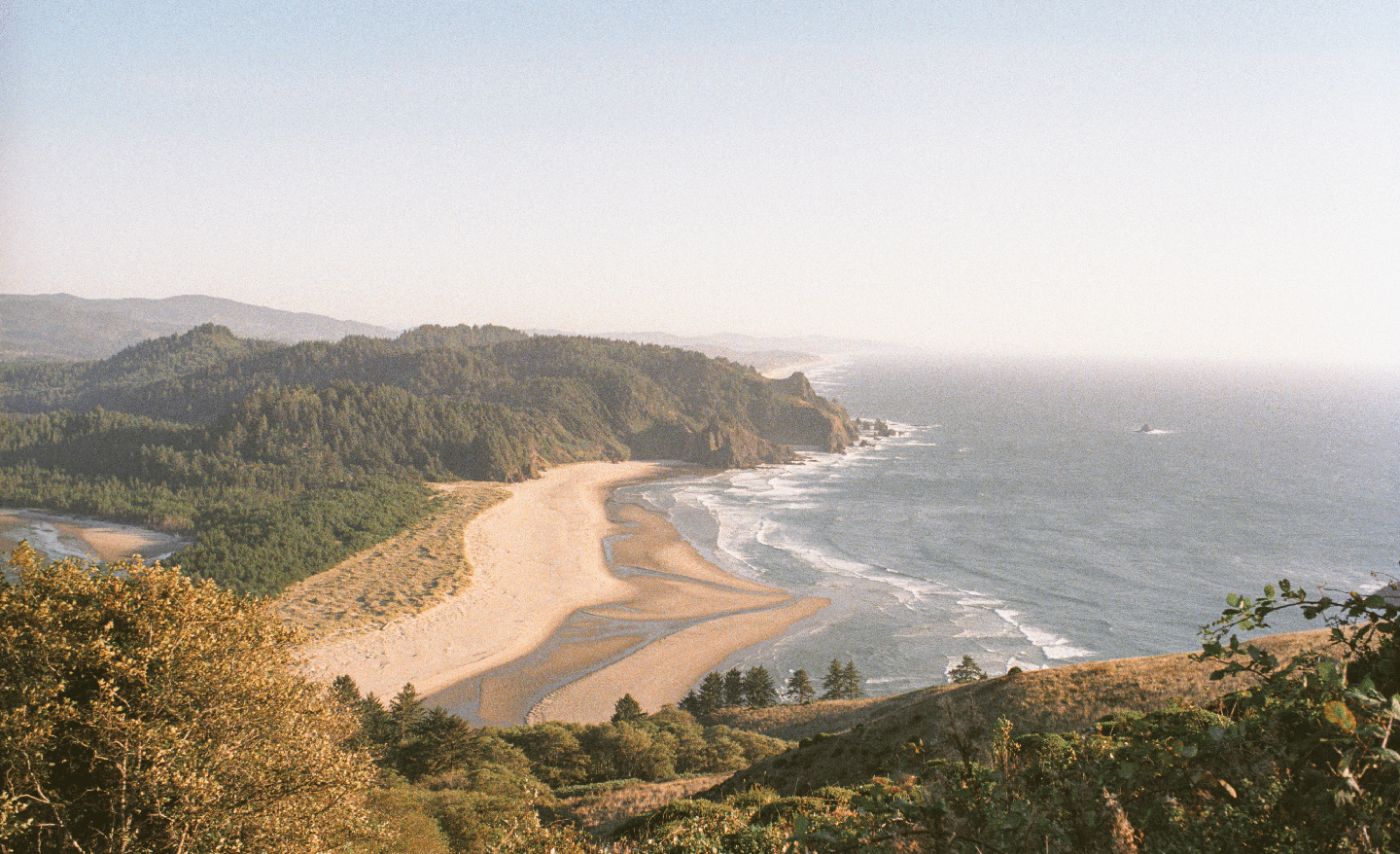 image 39919 by will_bowen28