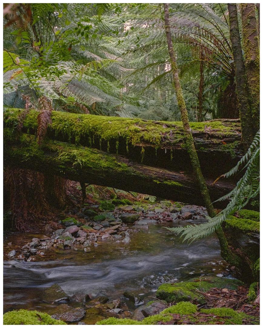 image 35021 by kookaburramundi